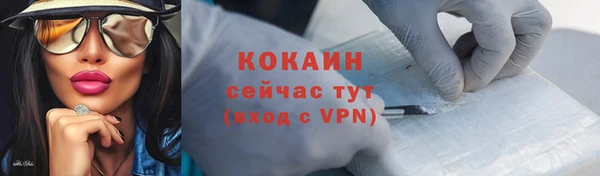 твердый Нягань
