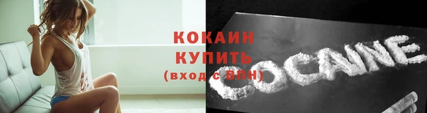 бошки Няндома