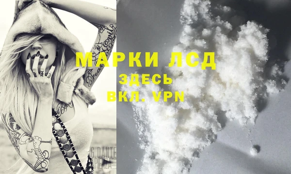 индика Абинск