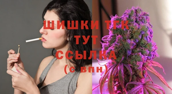 бошки Няндома